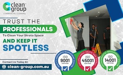 Can Clean Group NZ clean carpets in high-traffic commercial areas?